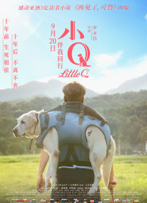 iphone怎么备份到电脑